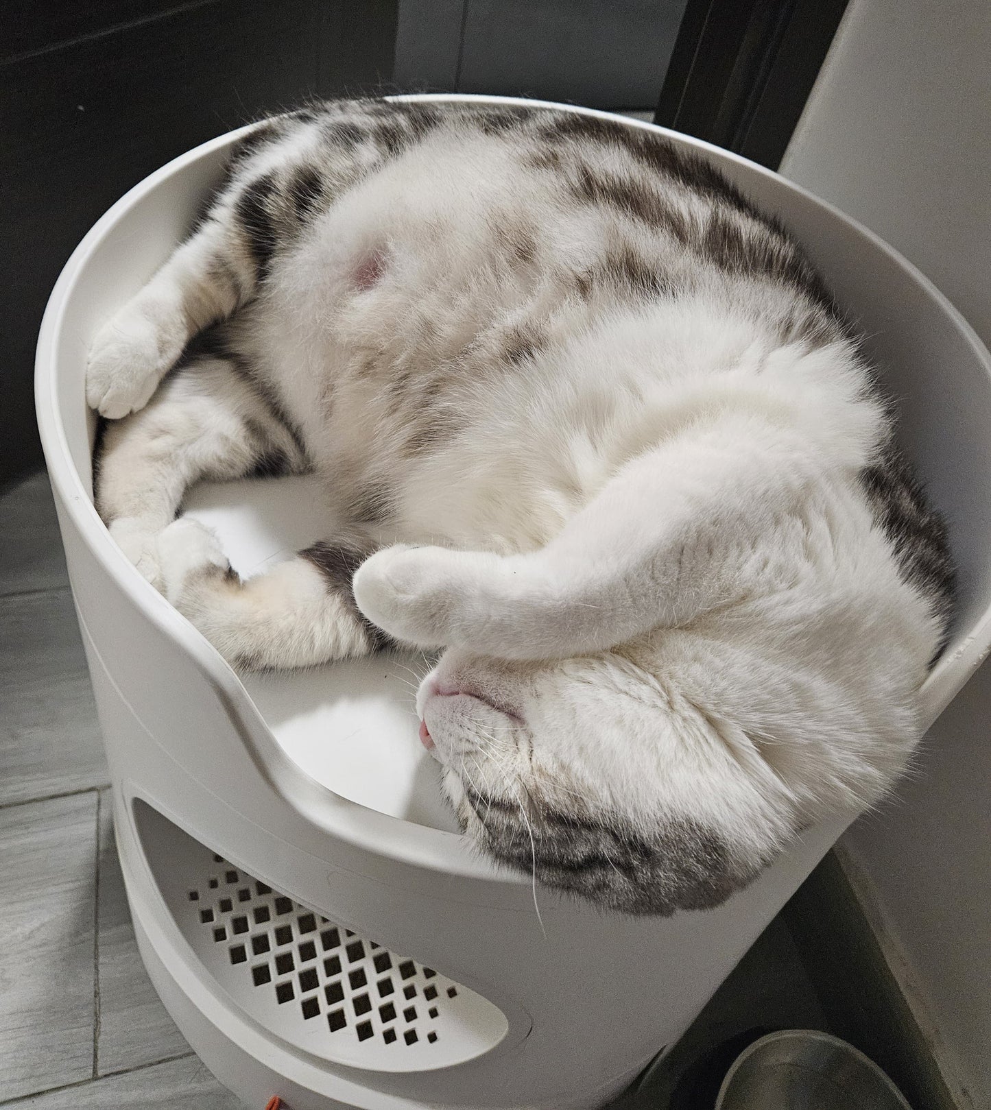 Castle cat litter box