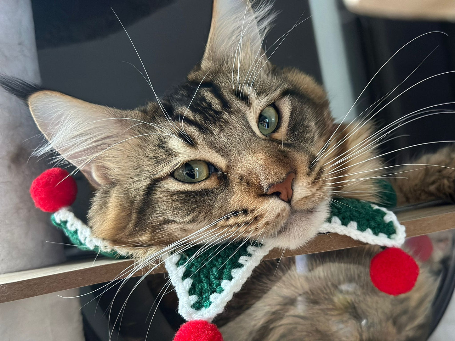 Hand-woven clown tie-cord collar