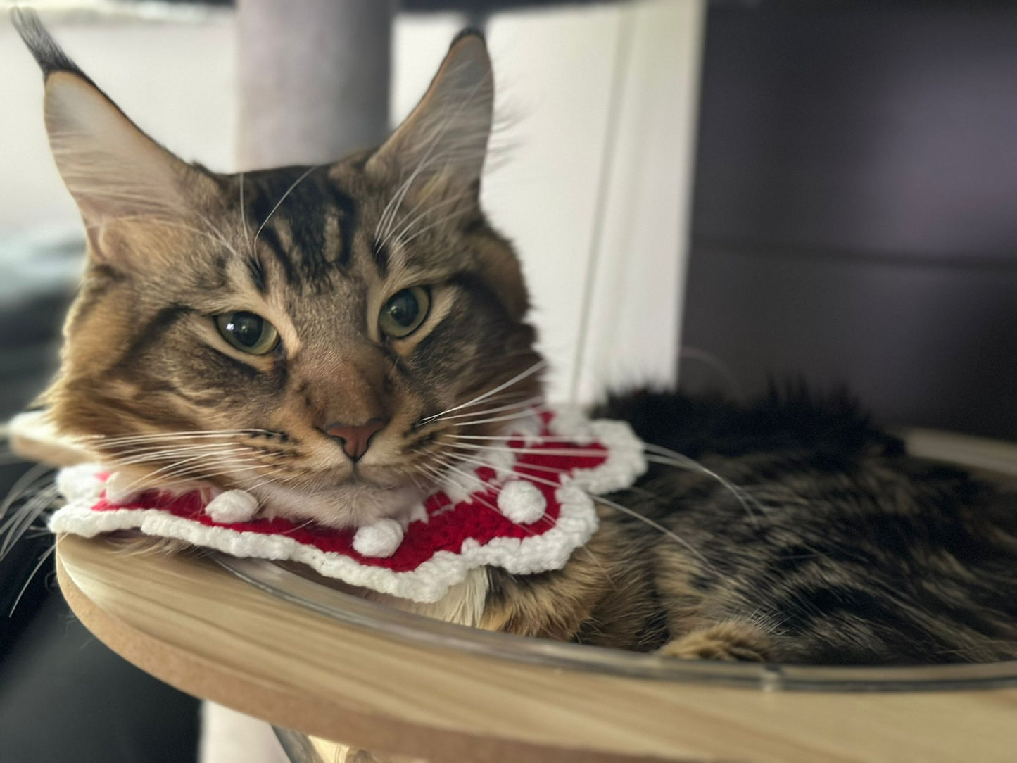 Hand-woven polka dot red collar