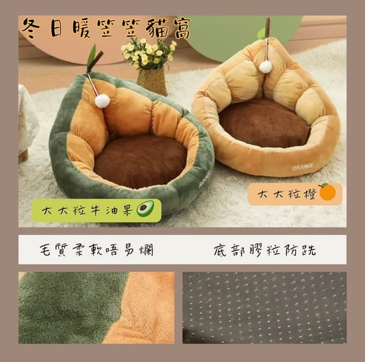 水果貓窩